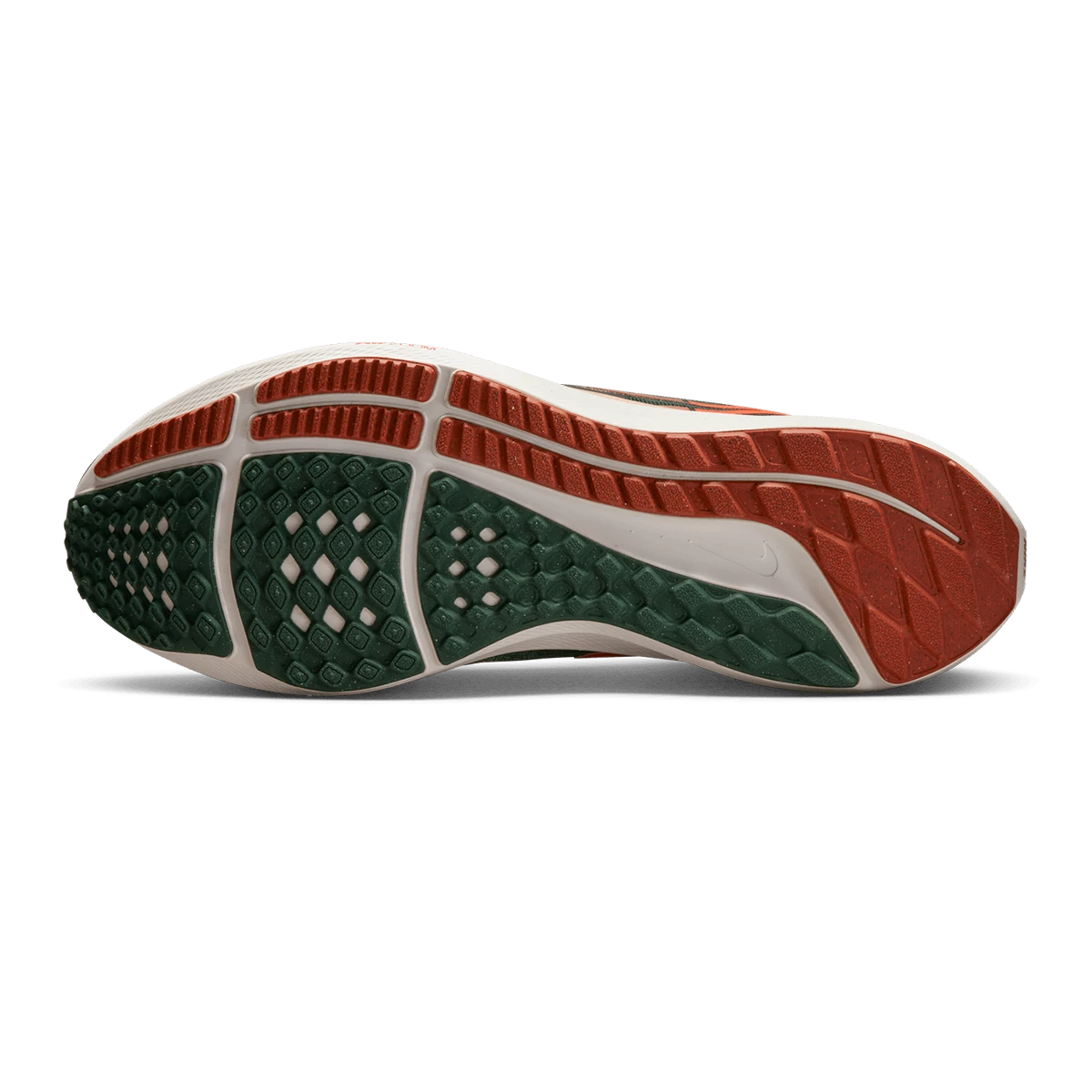 Nike Air Zoom Pegasus 39 A.I.R. Hola Lou - Image 4