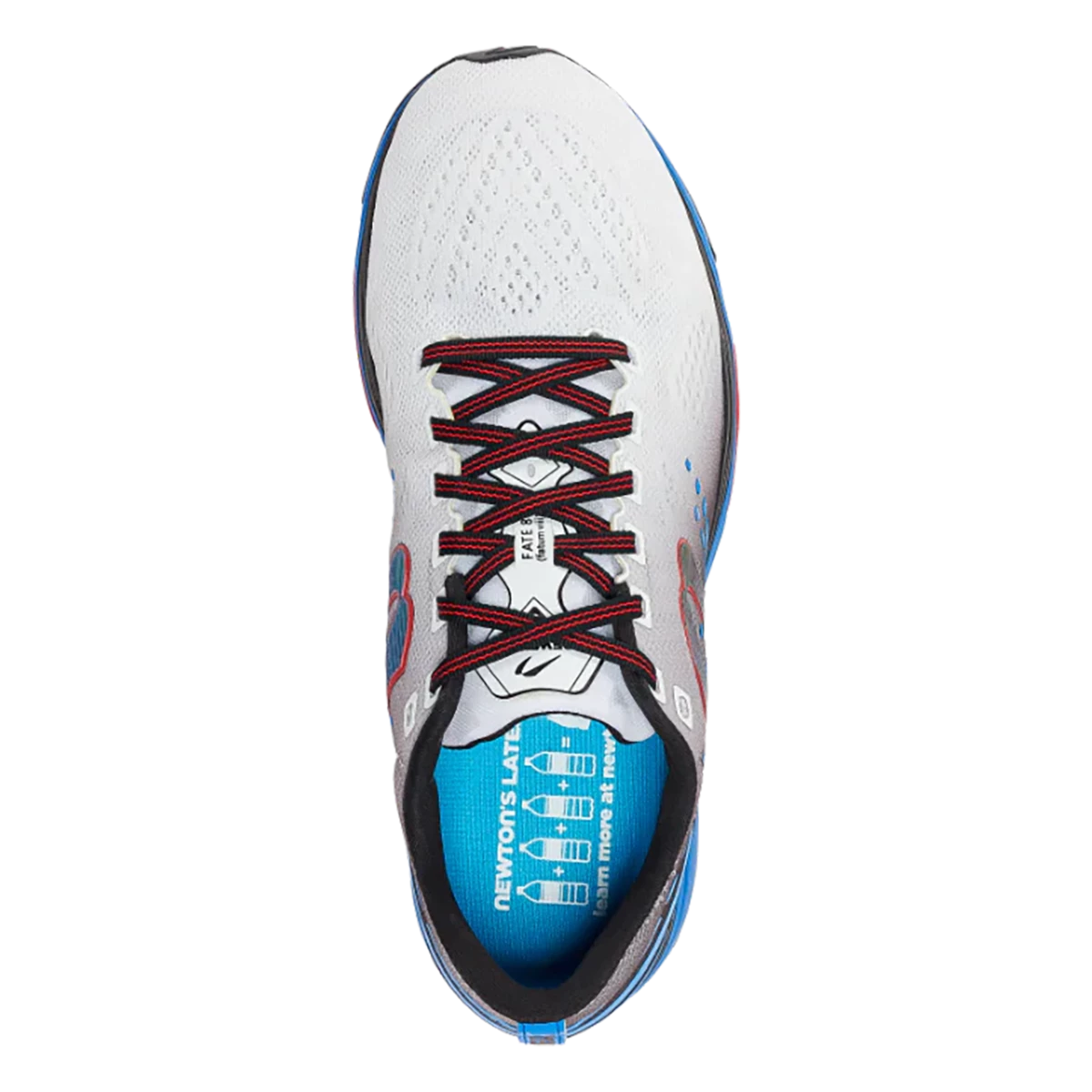 Newton Fate 8 Newton Fate 8 -Fit2Run Store