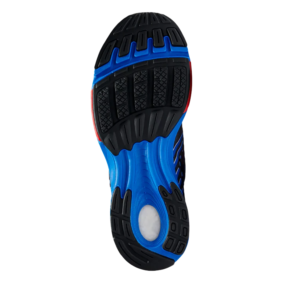 Newton Fate 8 Newton Fate 8 -Fit2Run Store