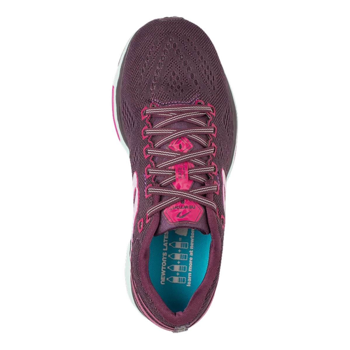 Newton Fate 7 - Image 3